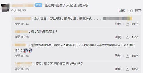 武汉网红爆料视频播放,武汉网红爆料视频引发热议  第1张