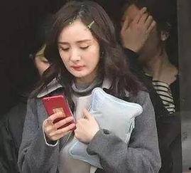 明星的狗仔爆料视频,揭秘娱乐圈幕后真相  第2张