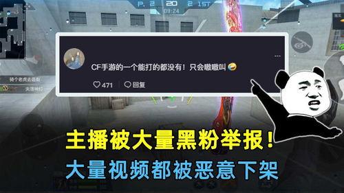 黑粉爆料主播视频大全集,主播视频大全集深度解析 第3张 黑粉爆料主播视频大全集,主播视频大全集深度解析 第3张