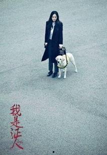 我是证人手机在线观看,揭秘真相,见证正义! 第2张 我是证人手机在线观看,揭秘真相,见证正义! 第2张